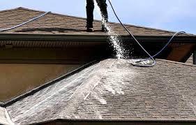 Roof washing near me